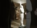 The Mummy Shorts