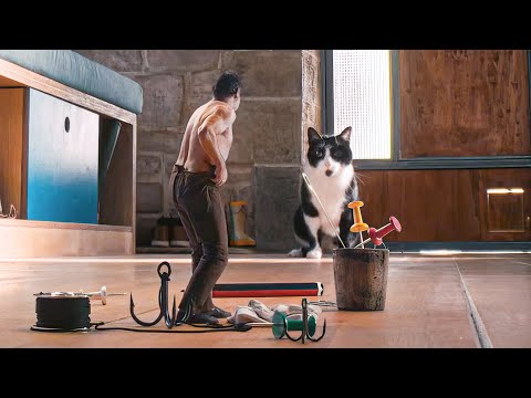 His Body Shrank Overnight Causing The Cat and Insects to Start Hunting Him