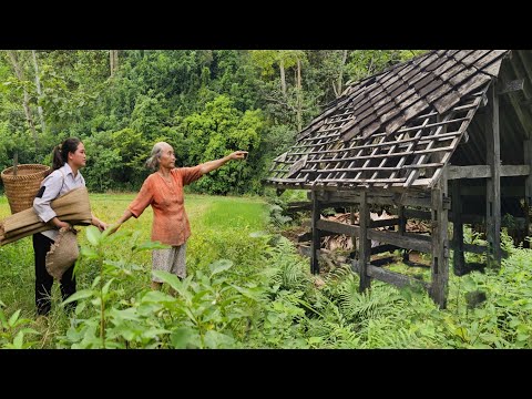 Full Video: Homeless girl is given an abandoned house at the foot of a mountain by an old woman