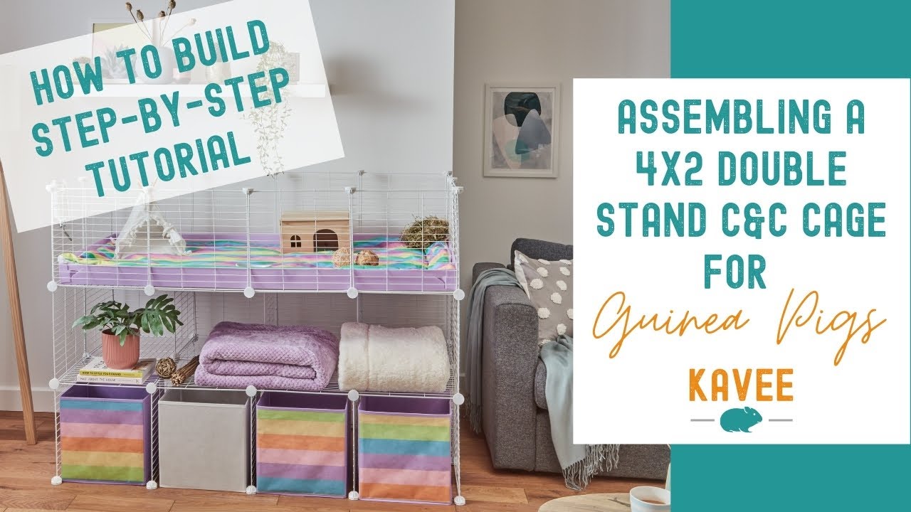 How to build a 4x2 Double Stand C&C Cage for Guinea Pigs