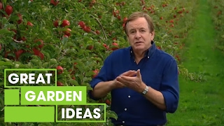 Better Homes and Gardens - How to grow an apple tree