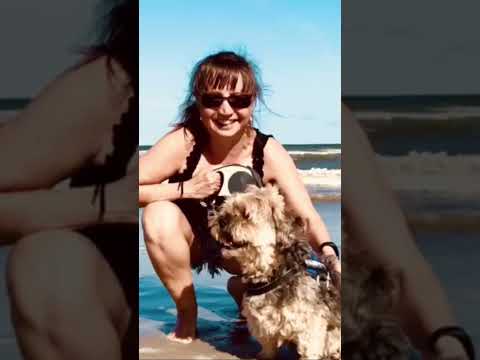 Ein Spaziergang mit Mo am Strand von Glowe.