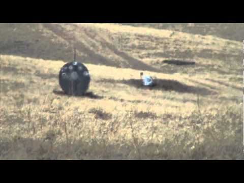 savage model 25 .204ruger 600yard