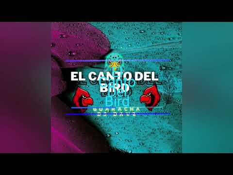 El Canto Del Bird - DJ Dave (Guaracha) [Epicenter Bass]