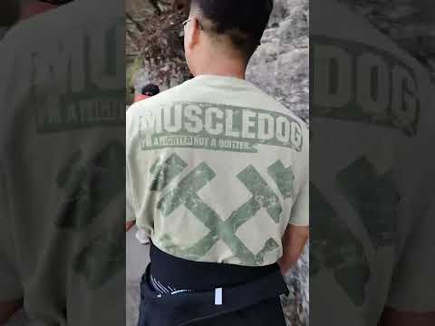震撼體驗！走中國張家界天門山玻璃棧道，于高空俯瞰，暢享雲端峰林的驚險之美!#張家界導遊張雄#張家界#張家界旅遊攻略#天門山#中國旅遊#travel