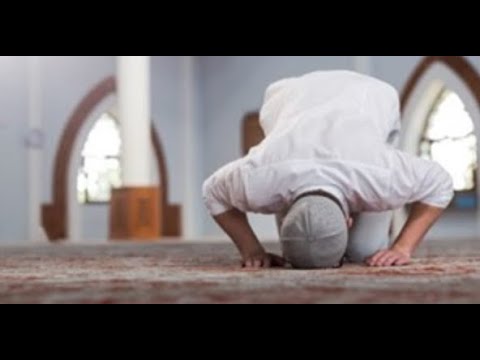 Gabimet më të rënda në Namaz! - Dr. Imam Ahmed Kalaja