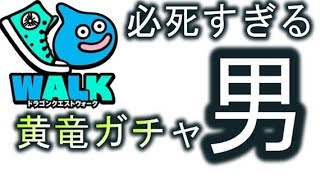 【ドラクエウォーク】無課金野郎の「決死」の黄竜ガチャ!!【ガチャ】【DQ WALK】
