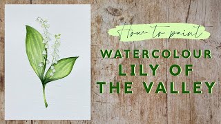 How To Paint Watercolour Lily of the Valley