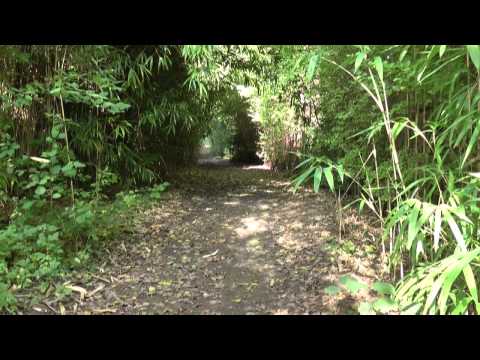 Het Broek te Berlare