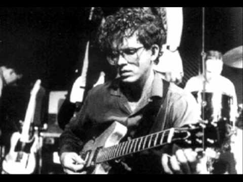 The Feelies - Moscow Nights