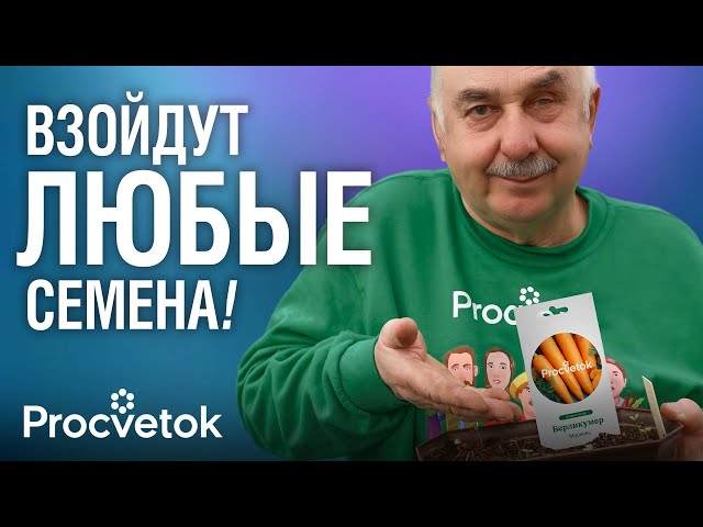 В ЭТОМ КОПЕЕЧНОМ СРЕДСТВЕ СЕМЕНА ВЗОШЛИ БЫСТРЕЕ ВСЕГО! Протестировали 11 народных стимуляторов