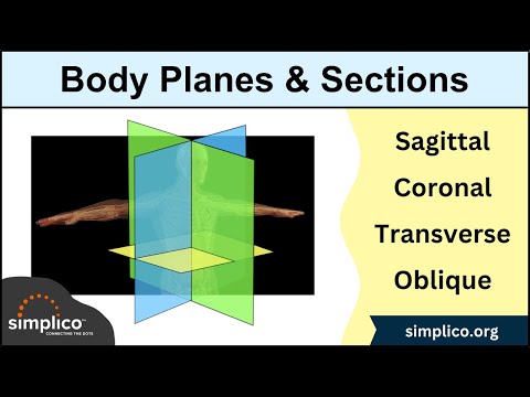EASY TRICKS for Anatomical Body Planes and Sections [Direction/Position]