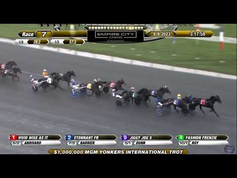 International Trot 2023 - Vivid Wise AS