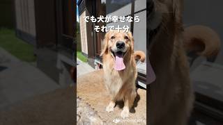 犬と田舎暮らし、理想の家見つけた。