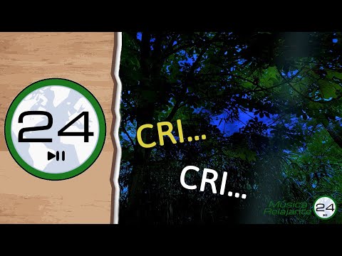 🎧 Sound of CRICKETS at NIGHT 🐜🌳🌓 to SLEEP - Relaxing Noise of Crickets Chirping - CRI CRI