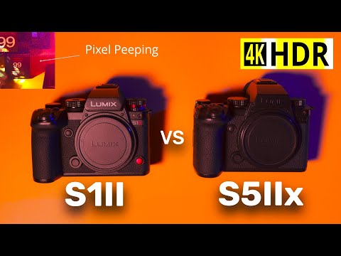 Lumix S1II vs S5IIx Pixel-Peeping (HDR)