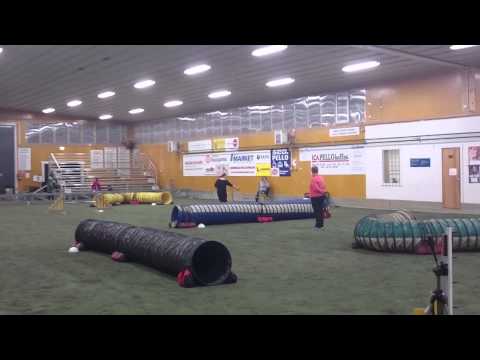 Mia ja Niehku Möllirata