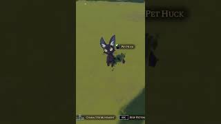 Can you pet Huckleberry the car? yes, you can. #HomesteadAracana #cats #caturday