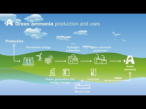 Ammonia Categorization (Grey, Blue, Green) & What is Green Ammonia How it is Produced?