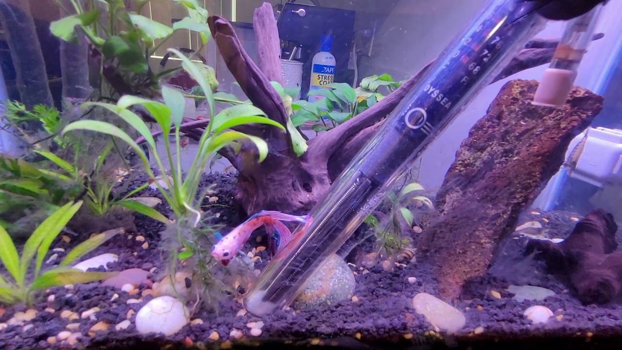 YouTube video preview