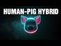 5 AMAZING CREATURES Made By Humans