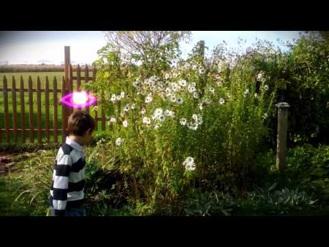 League Kids - CLG.eu vs WE