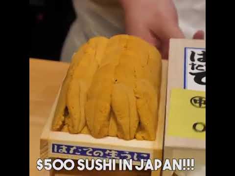 $500 sushi in JAPAN