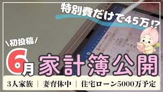 【6月家計簿🐸】音声あり🌷特別費45万超/家計管理/住宅ローン予定/20代母/3人家族@奥歯のつぼみ5000万ローン家計 