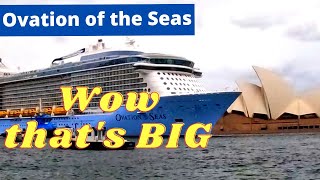 Epic Cruise Ship Morning Arrival in Sydney's Circular Quay