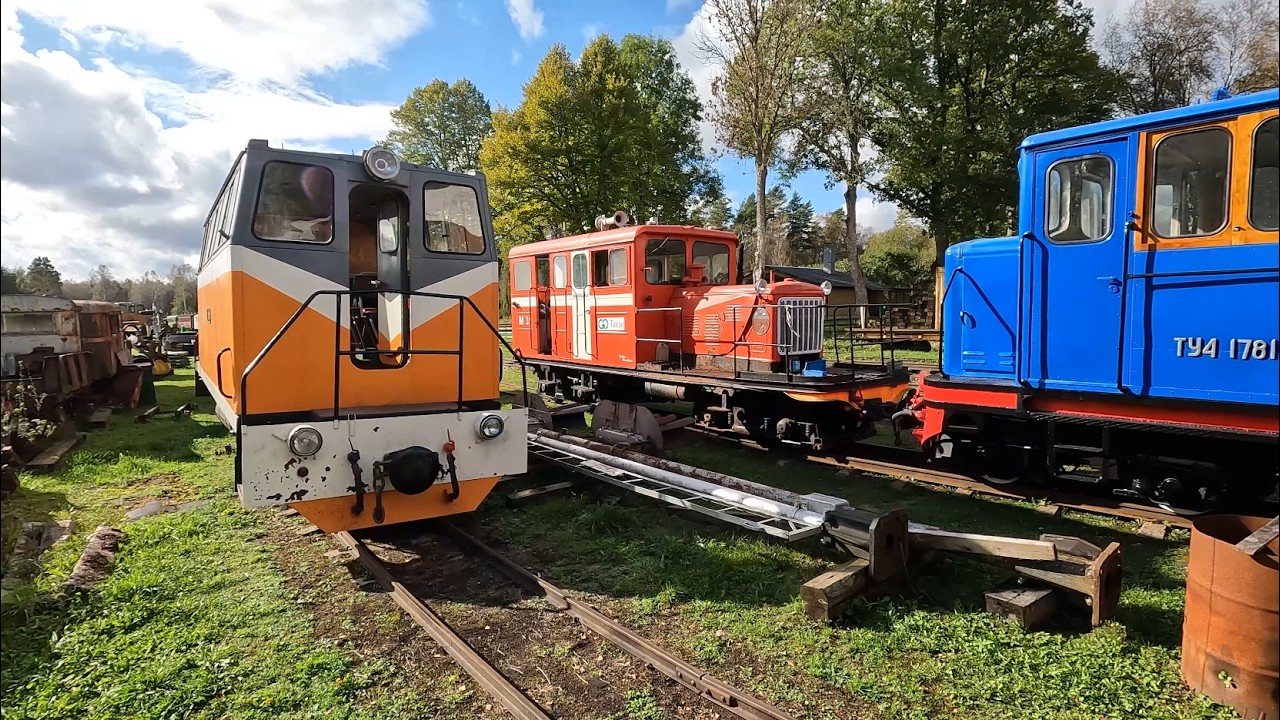 Разные тепловозы в музее Лавассааре / Different narrow gauge locomotives at Lavassaare museum