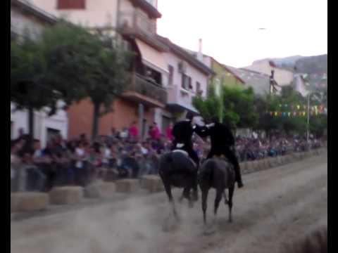 pariglie  silanus 11.08 .2014