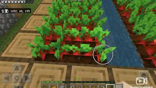 マイクラ#4 目的がなんか変わりました。
