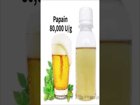 Papain Enzyme Powder