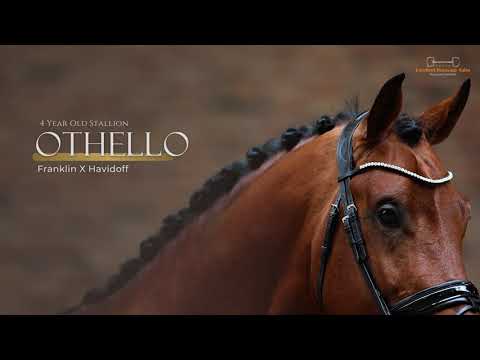 Othello | Franklin x Havidoff - Gelding - 2019