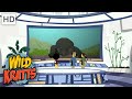 Wild Kratts |Clip|Komodo Dragon Adventur