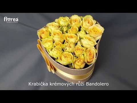 Krabička krémových růží BANDOLERO