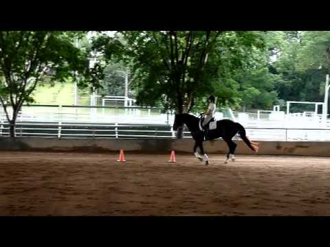 training session 10.4.13