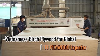 Vietnamese Birch Plywood for Global | TT PLYWOOD Exporter