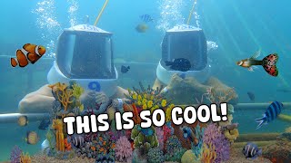 Sea Walking in Kota Kinabalu, Malaysia 🐠 | Vlog #1813