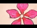 How To Draw A Periwinkle Flower Easy Drawing 2025 Video