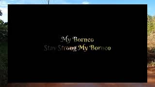 Download lagu #SaveBorneo Stay Strong My Borneo mp3 Download lagu #SaveBorneo Stay Strong My Borneo mp3