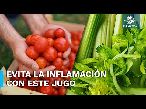 Conoce los beneficios de tomar jugo de jitomate con apio en ayunas