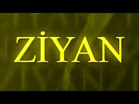 Dylexa - Ziyan / 2019