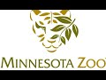 Barney S Sing Along Show At Minnesota Zoo