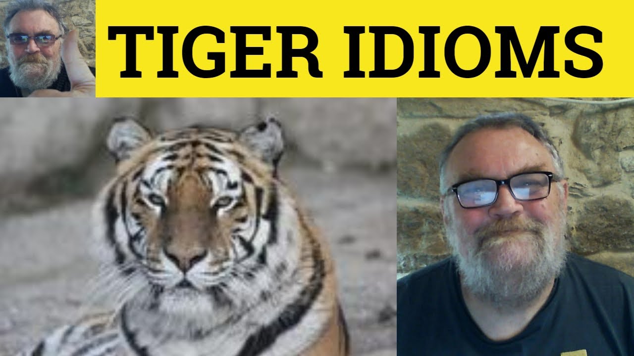 🔵 Paper Tiger -Tiger in the Tank - Eye of the Tiger - Have a Tiger by the Tail Meaning Tiger Idioms