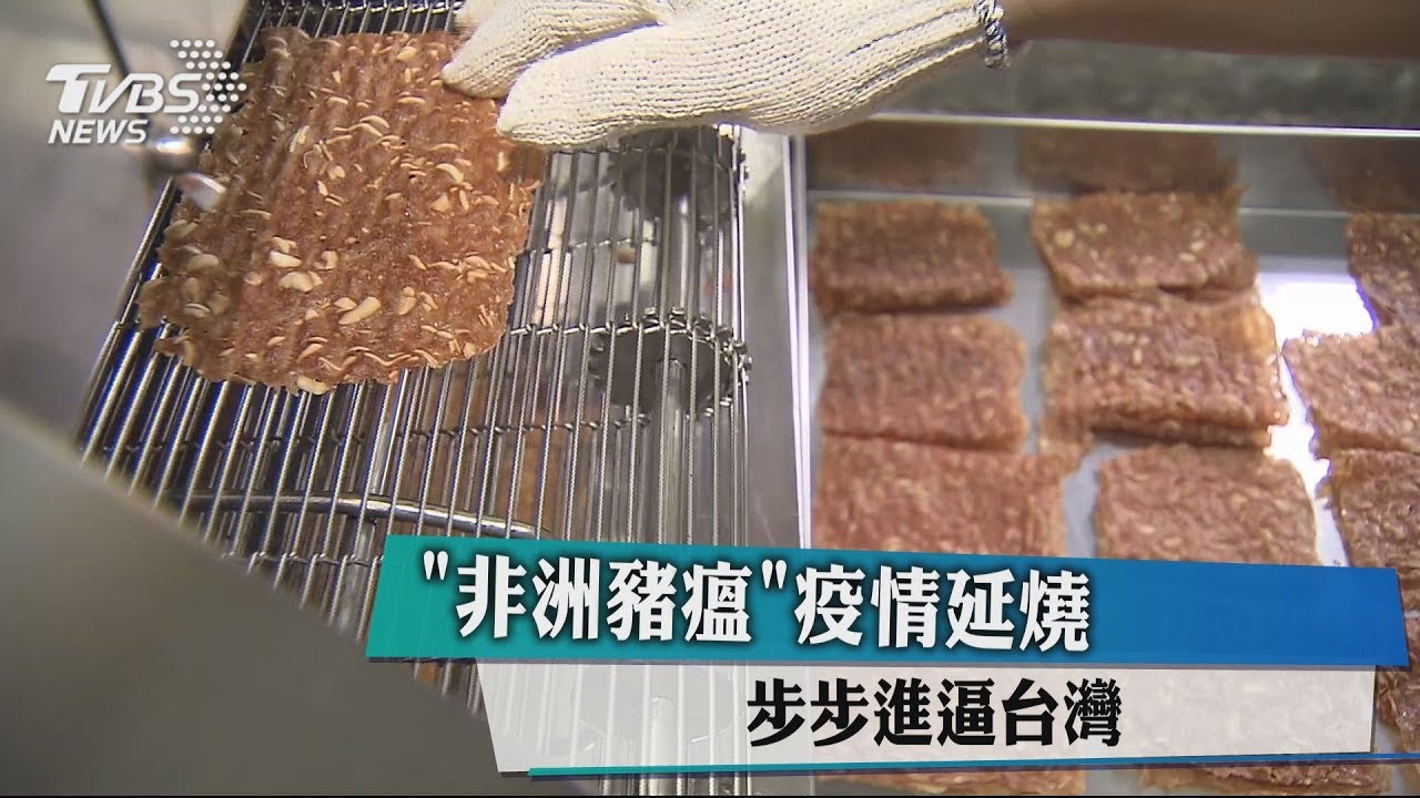 「非洲豬瘟」疫情延燒 步步進逼台灣