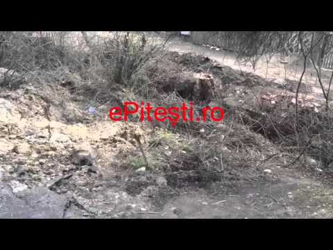 Strada Zamfiresti PITESTI Argeș 2016