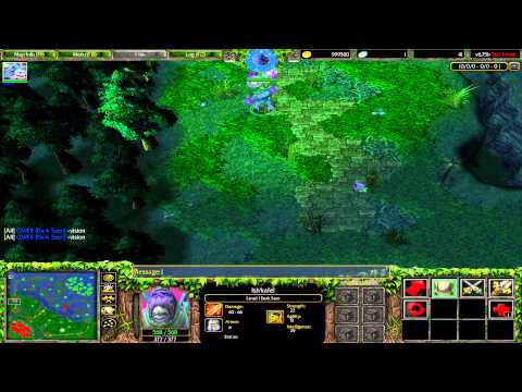 W3 DotA - Vision granted by the Charge of Darkness (Barathrum)