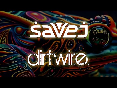 Savej x Dirtwire - Parallax (Desert Visions Video)