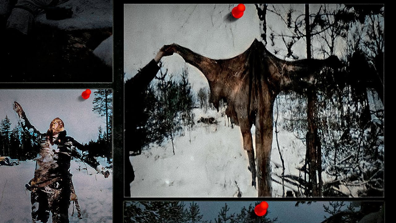 The Maaselkä massacre | When a Soviet patrol was massacred by ‘something unknown’ in Finland